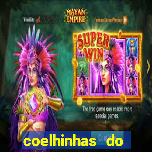 coelhinhas do brasil jp